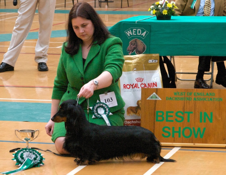 Best In Show