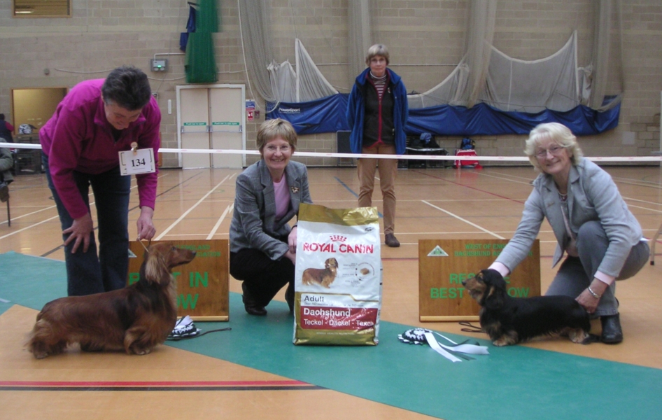 Best In Show