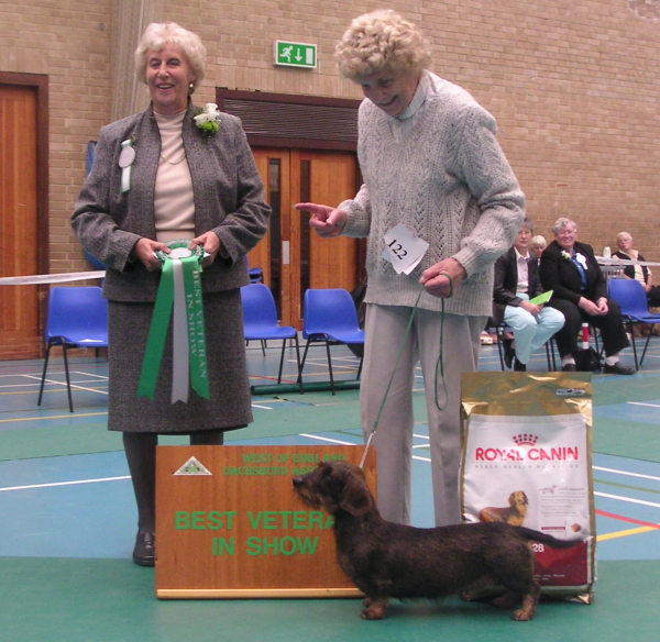 Res. Best In Show AND Best Veteran in Show