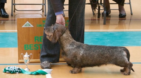 Res.Best in Show
